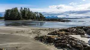 Revealing the Hidden Natural Charms of Vancouver: Exploring its Green Beauty